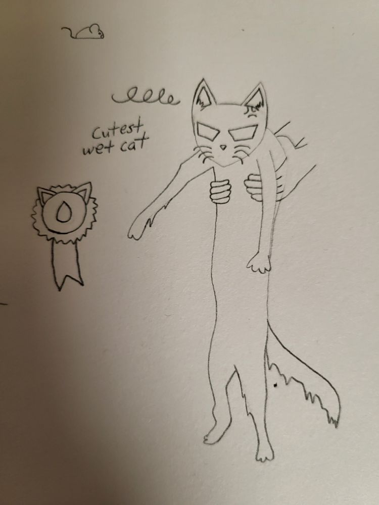 A doodle of Tarn as a wet cat. He is annoyed. There is a ribbon awarding him the "cutest wet cat".