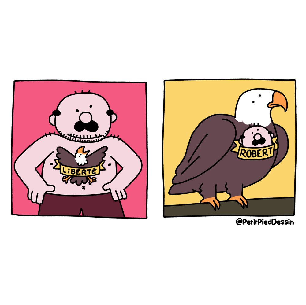 BD
Un robert avec un tatouage d'aigle
Un aigle avec un tatouage de robert