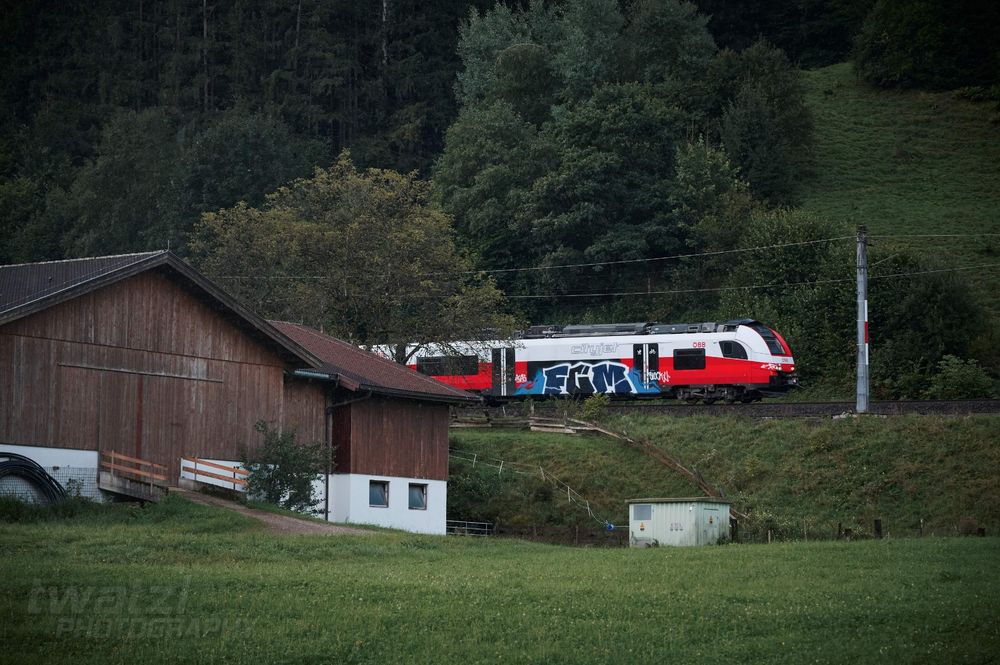 Ein mit Graffiti beschnmierter Zug fährt hinter einer Scheune hervor.