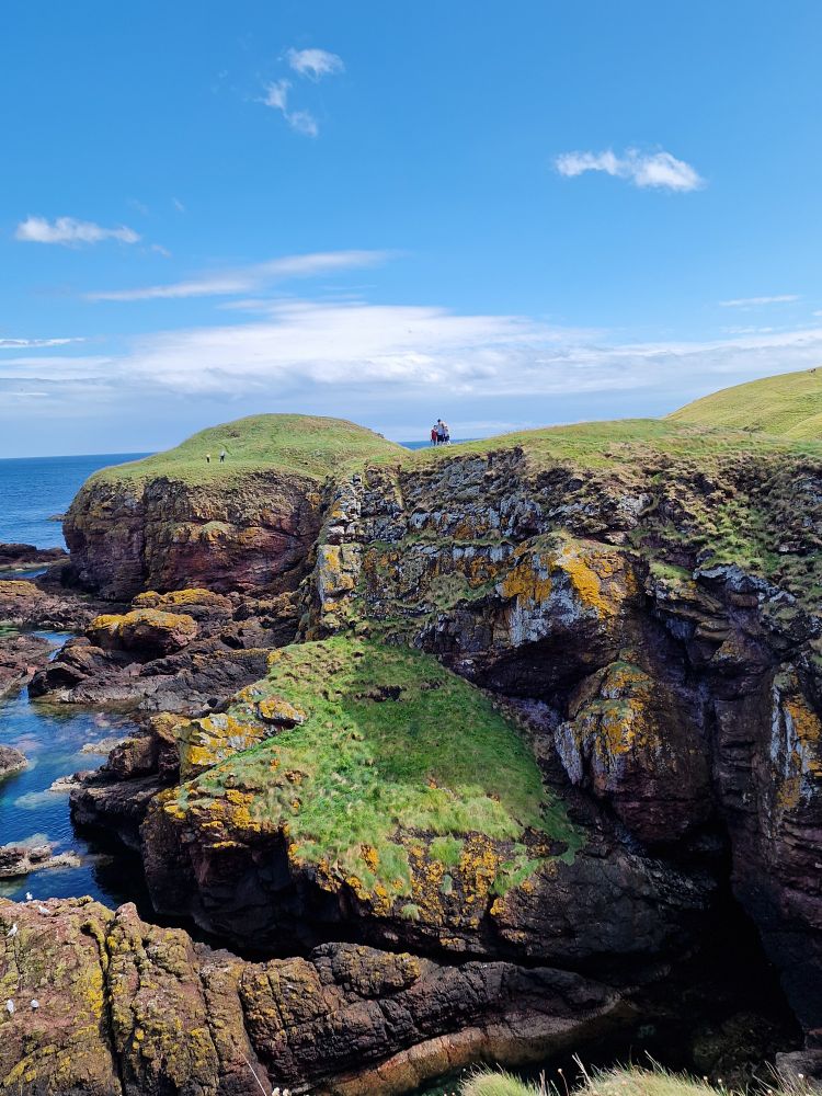 The family at the cliffs at St Abbs