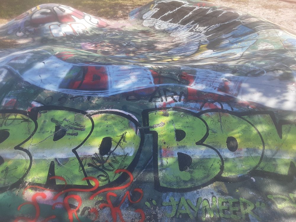 Bro Bowl (no locals tagged over that, btw, that's a buncha Wesley Chapel wilsons)