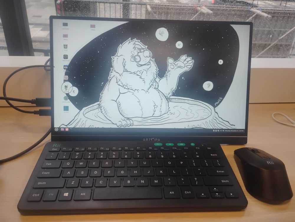 A picture of my PC setup in a café across from Hal-Con, with a drawing of Biscoe as the wallpaper.