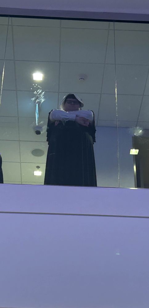 A picture of me Aura Farming in a maid dress. I'm crossing my arms. 

#HalCon2025