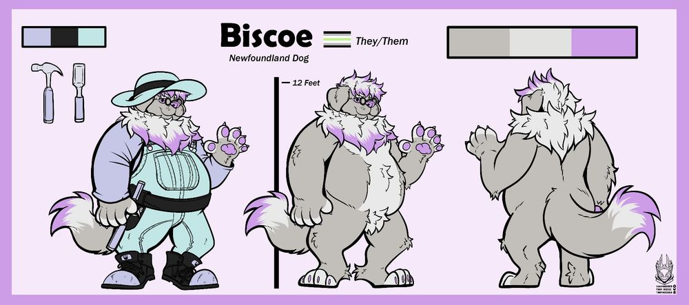 A reference sheet of an overweight, anthropomorphic 12 foot tall Newfoundland Dog named Biscoe. They are agender and go by they/them pronouns.

 A clothed reference is on the left side of the sheet, where Biscoe is wearing a cyan sun hat with a black band and cyan overalls with a matching black tool belt. The tool belt has a purple hammer and chisel. They are also wearing a purple shirt with a pair of black boots with purple Steel toes. 

In the middle shows an unclothed Biscoe with white and pink hair neck fluff, with some chest hair in the center of Biscoe's chest, reaching down to their crotch, which has a tuft of fur. Their hand, feet paws and tail all are mostly grey, with white and pink on the tips.