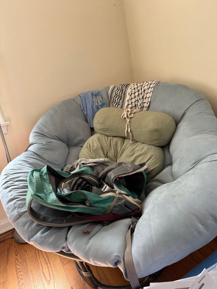 Light blue papasan chair with dark brown frame