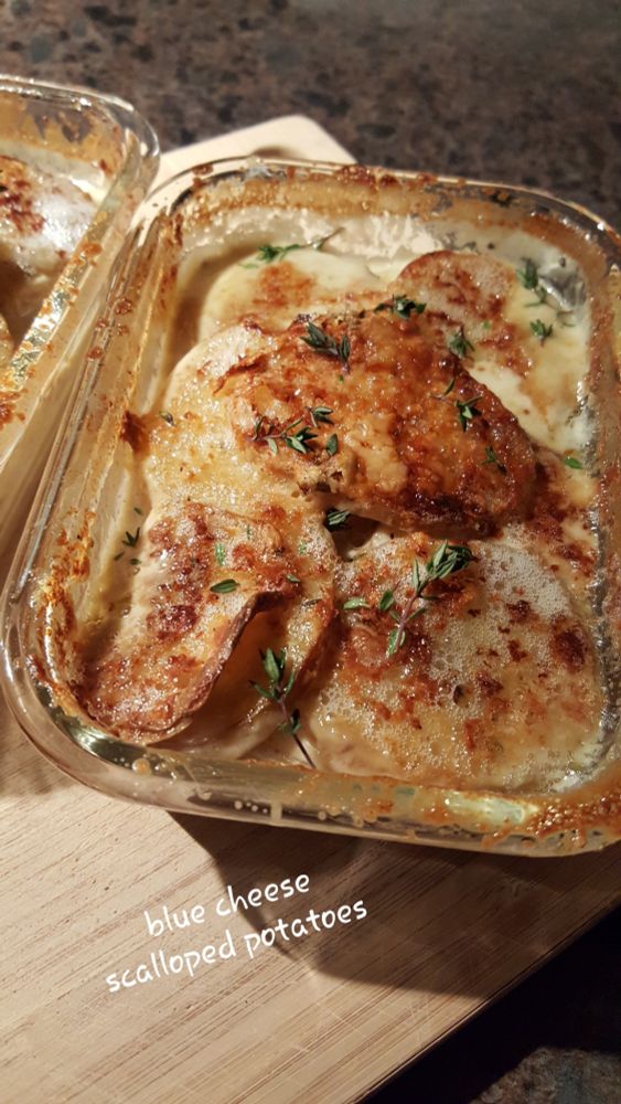 A glass casserole dish with baked scalloped potatoes with blue cheese and roasted garlic. A few fresh thyme leaves are on top.