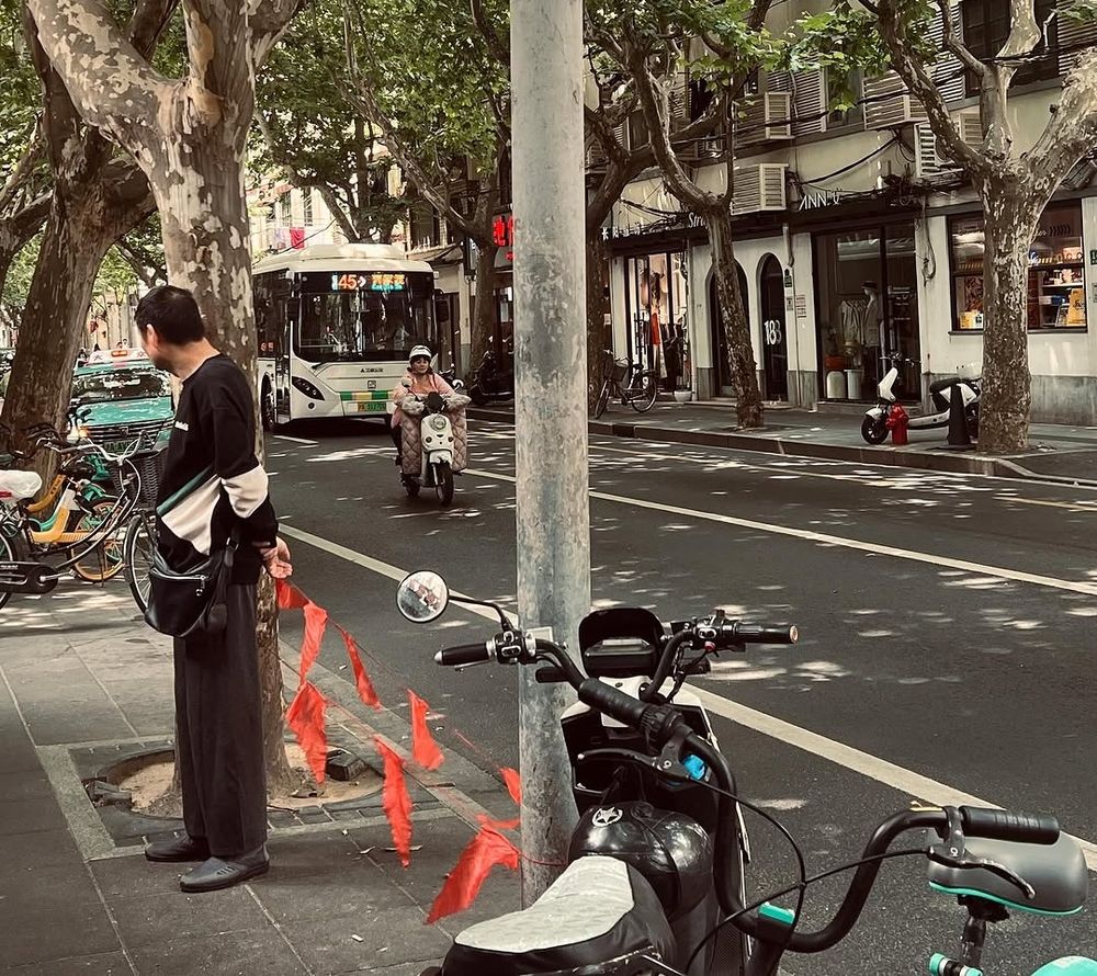 Rua arborizada, sem trânsito, no caminho da academia. 