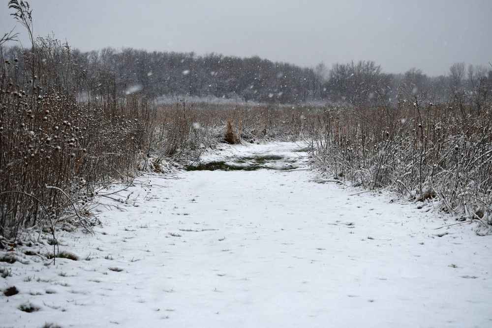 A snow-covered prairie.