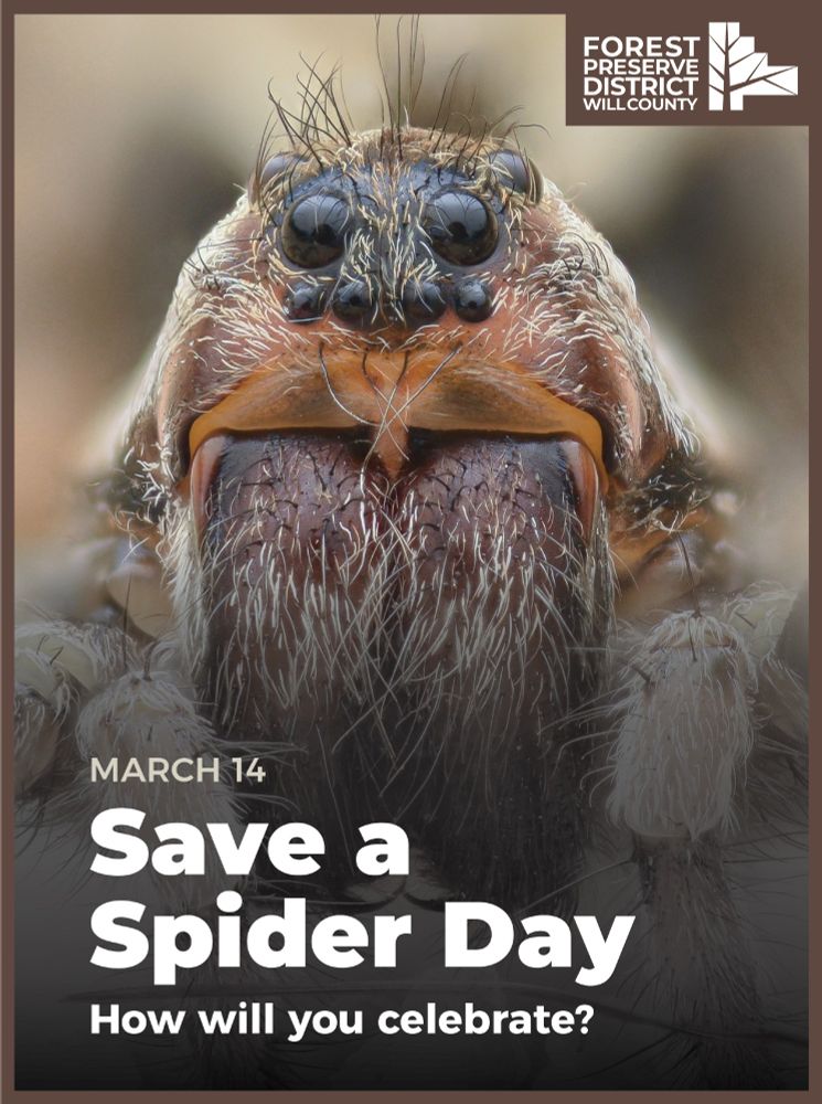 An image of a wolf spider that says March 14 is save a spider day. 
