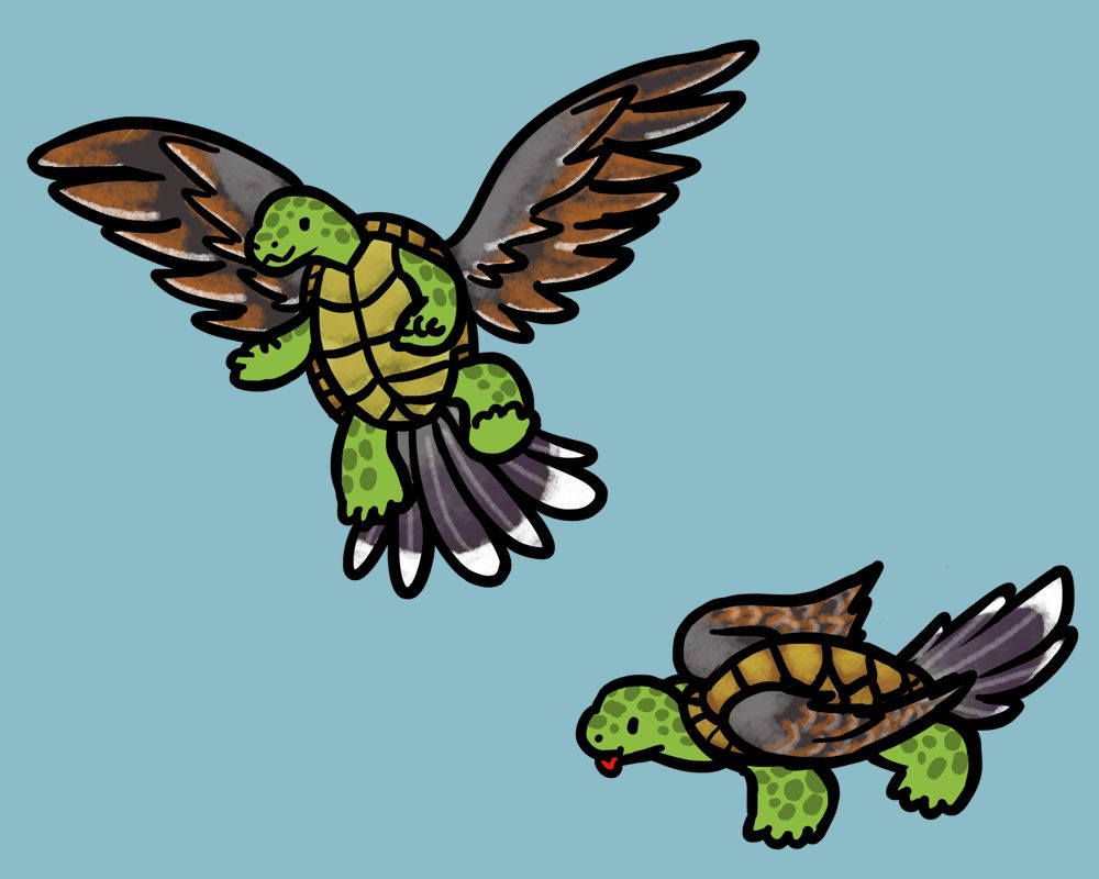 Two literal turtle dove hybrids that are part-turtle, part-dove.