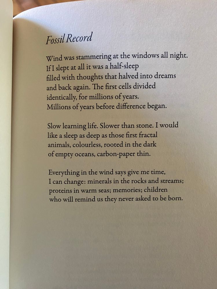 Poem text by Wayne Price reads:

Fossil Record
I’m 
Wind was stammering at the windows all night.
If I slept at all it was a half-sleep
filled with thoughts that halved into dreams and back again. The first cells divided identically, for millions of years.
Millions of years before difference began.

Slow learning life. Slower than stone. I would
like a sleep as deep as those first fractal
animals, colourless, rooted in the dark 
of empty oceans, carbon-paper thin.

Everything in the wind says give me time, 
I can change: minerals in the rocks and streams; 
proteins in warm seas; memories; children who will remind us they never asked to be born.