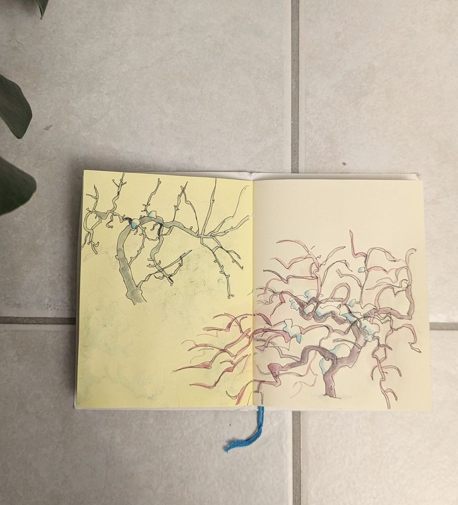 sketchbook drawings of wintertime trees, with watercolour added afterward: pear and japanese maple