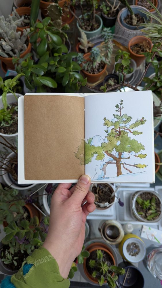 hand holding small sketchbook open to a drawing of a squat coniferous tree covered in large clumps of snow