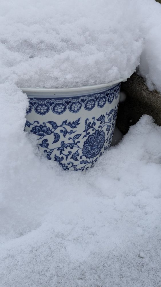 garden pot covered in big snow fluff
