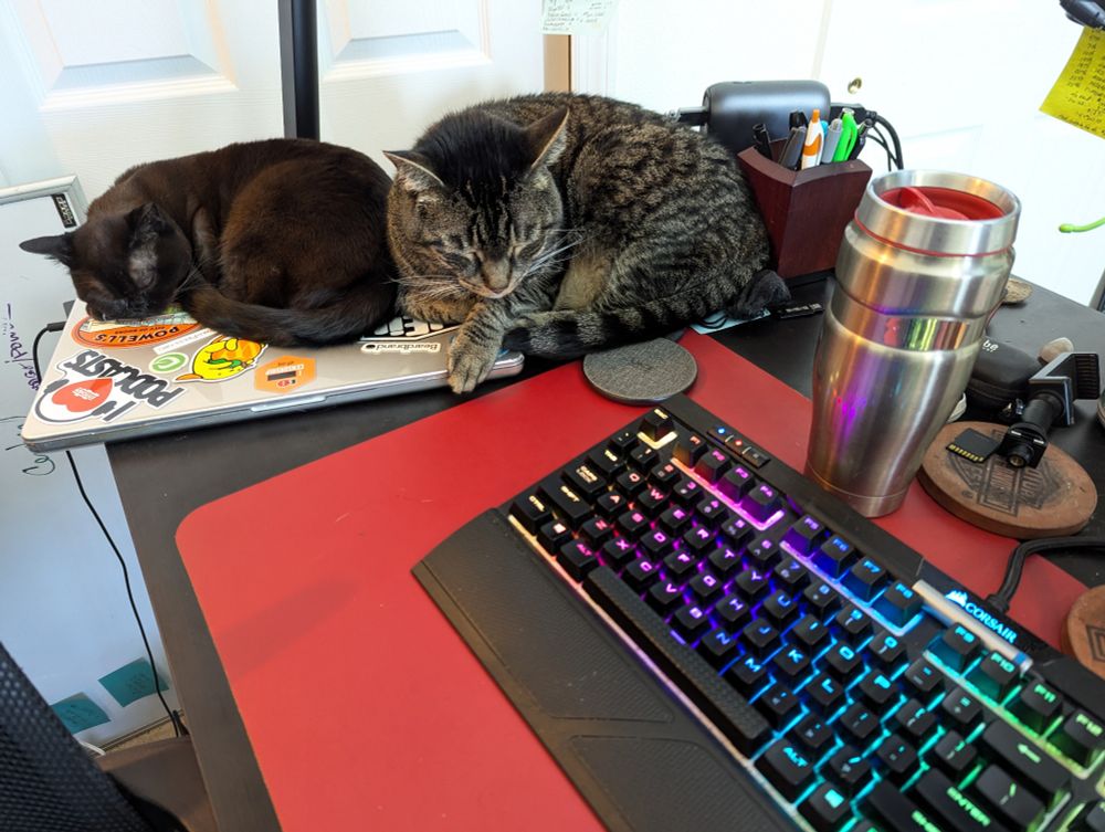 Two cats curled up for a nap on top of a closed laptop running in clamshell mode next to a keyboard and various desk accessories 