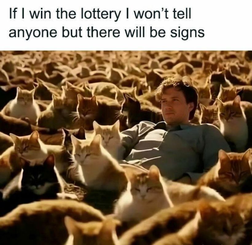 A man lying among dozens of cats with the caption, "If I win the lottery I won’t tell anyone but there will be signs."