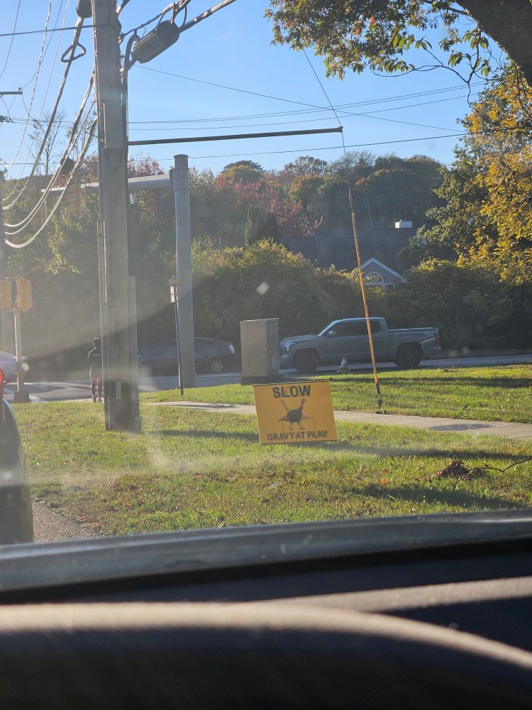 Photo taken through a windshield of a yellow lawn sign with a picture of a turkey that says "SLOW. Gravy at Play"