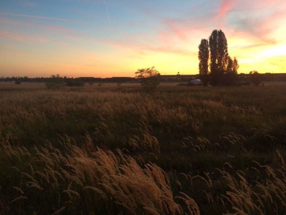 Abendrot auf dem Tempelhofer Feld 