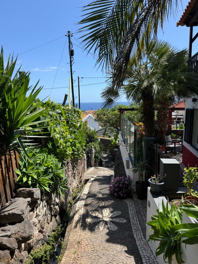 A stone pathway with homes and tropical plants on each side that leads to a view of the ocean and bright blue clear sky 