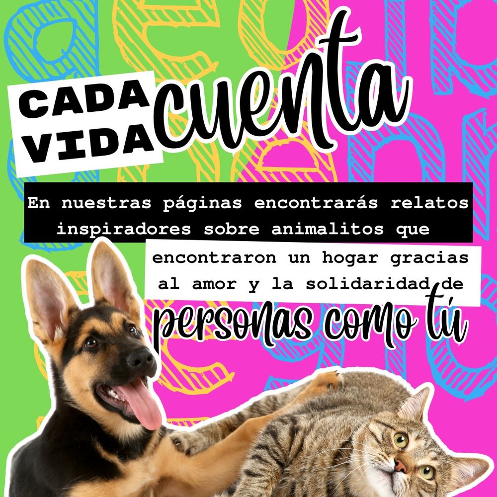 Adopción de animales. Rescate de animales.