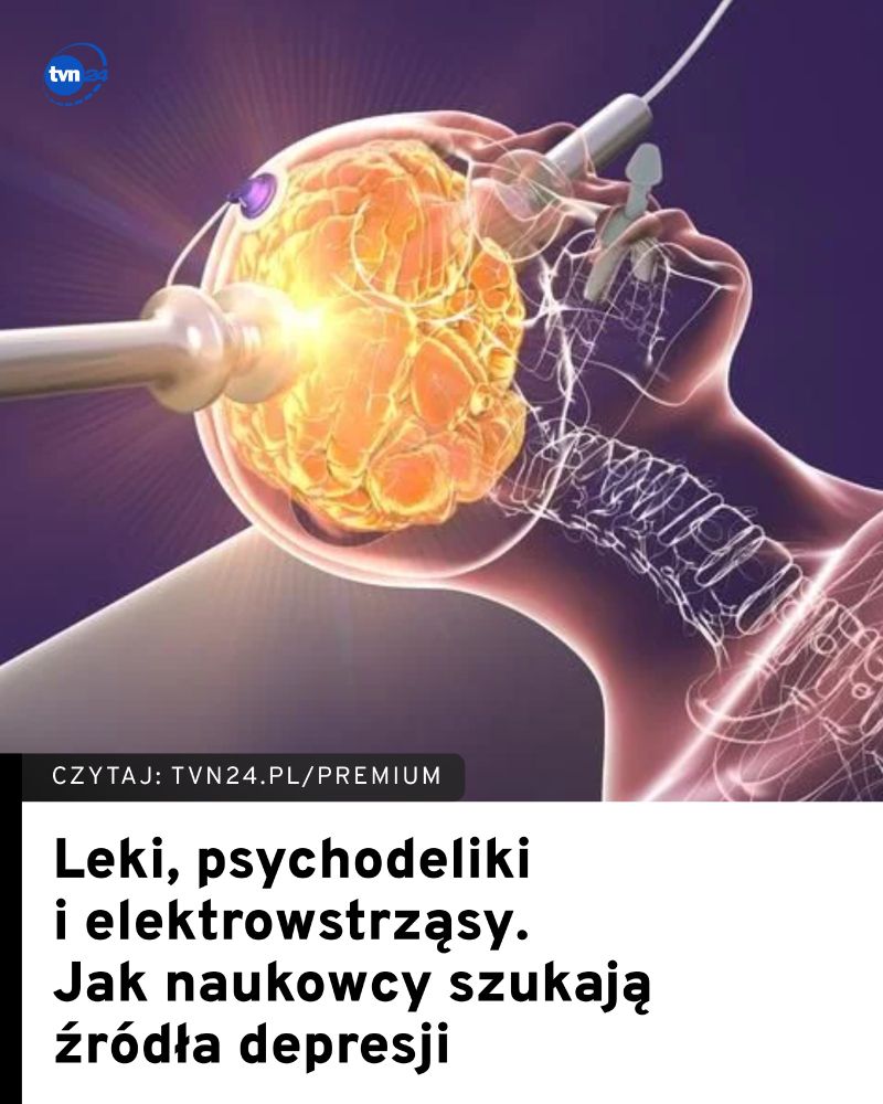 Fot.: Kateryna Kon/Shutterstock
