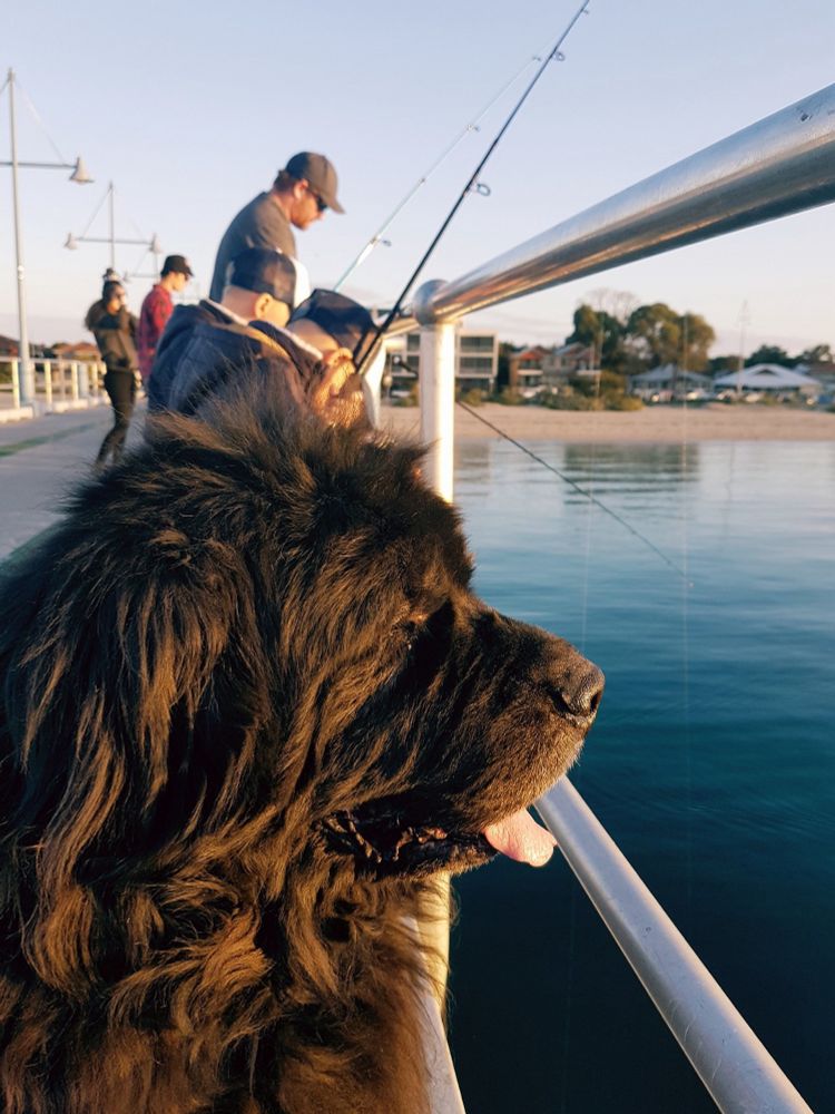 Lincoln, enjoying life