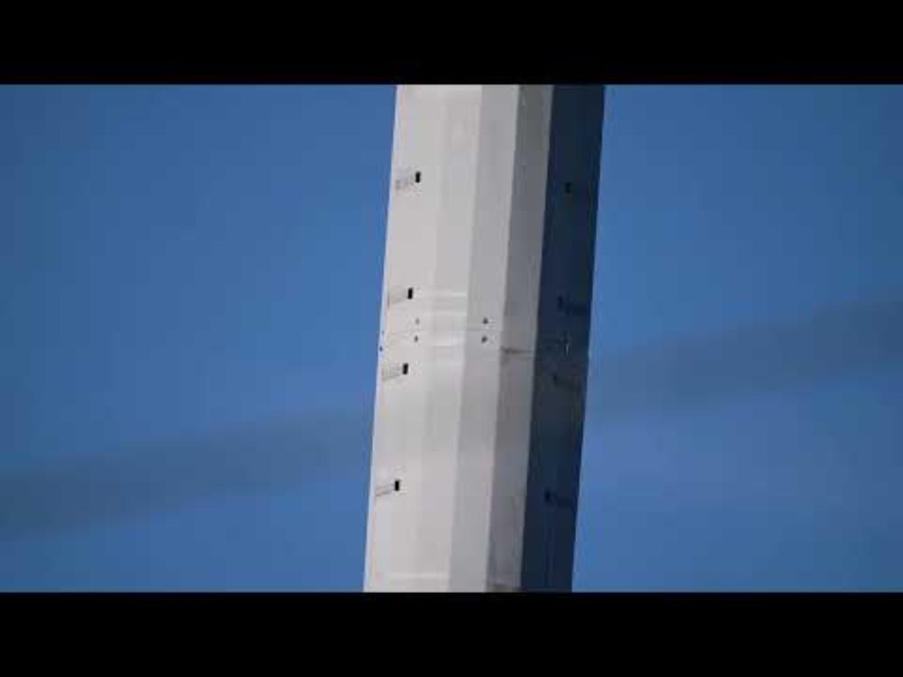 eagle on top of cell tower