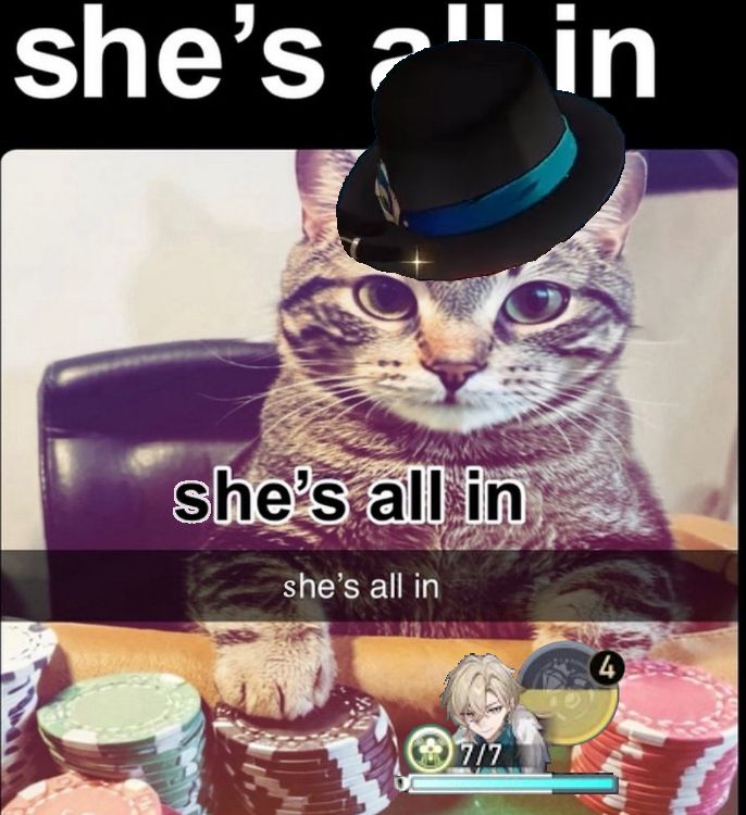 a cat sitting at a poker table, under several layers of text overlay claiming "she's all in" while the cat is dressed as Aventurine from honkai star rail