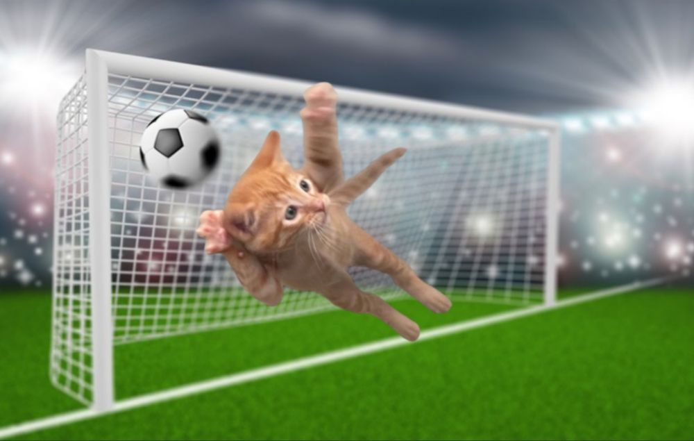 Orange cat as goalkeeper flying to save the ball