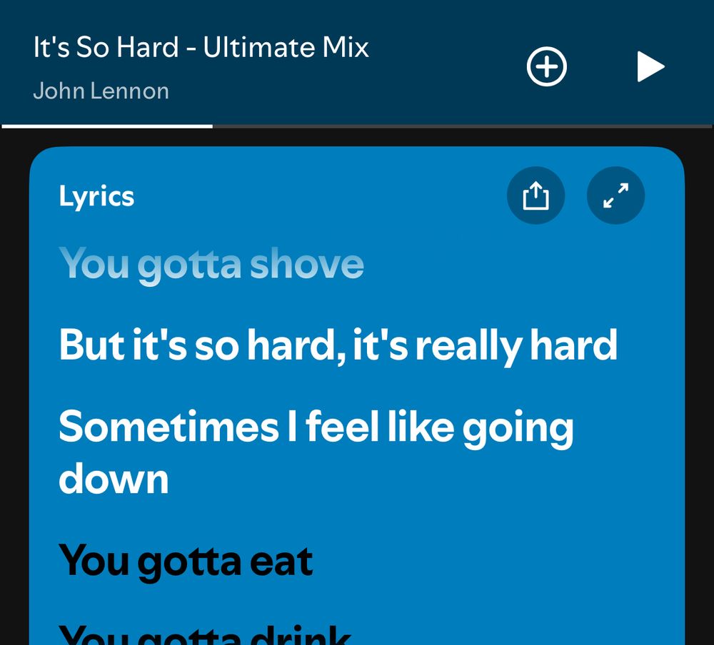 Screencap of lyrics from Lebanon’s “It’s so hard:”

But it's so hard, it's really hard 
Sometimes I feel like going down