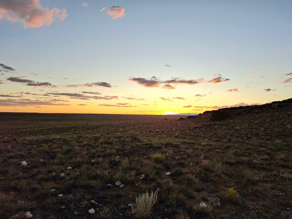 Golden sunset with a few pink tinged clouds, looking over desert scrub.