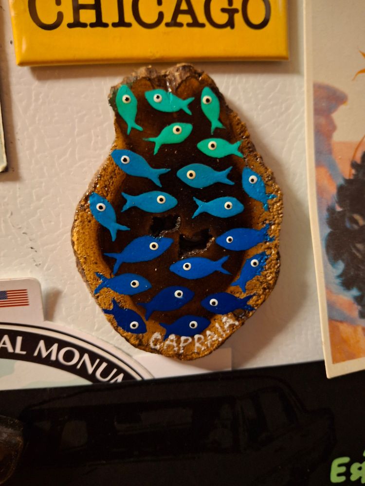 Green and blue fish painted on a fridge magnet reading "CAPRAIA" 