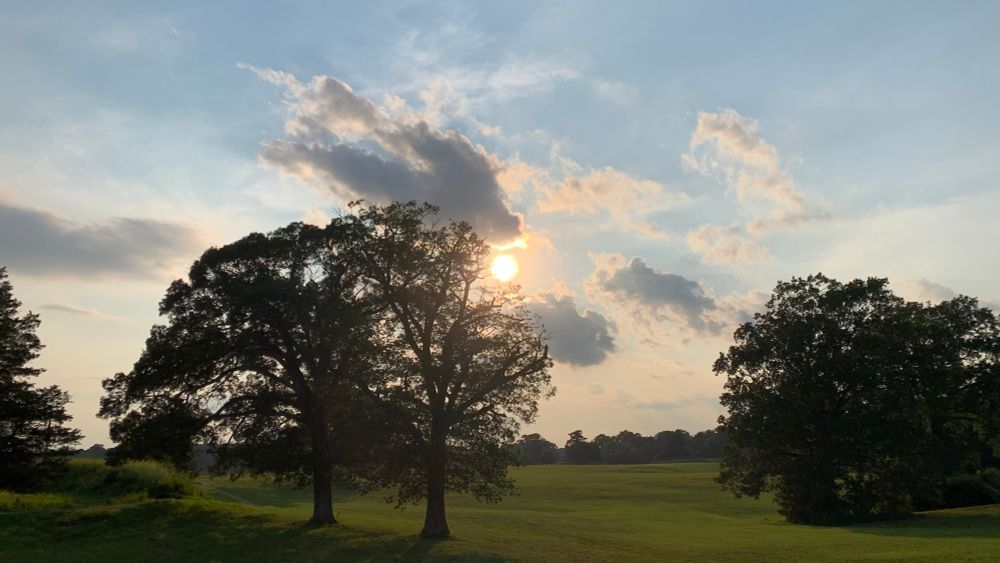 Yorktown Battlefield at sunset with trees