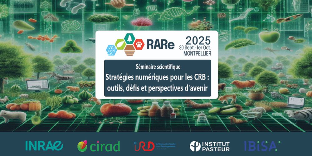 Le prochain séminaire scientifique de RARe aura lieu les 30 septembre et 1er octobre 2025, à Montpellier et en visioconférence sur le théme : "Stratégies numériques pour les CRB : outils, défis et perspectives d'avenir". 
