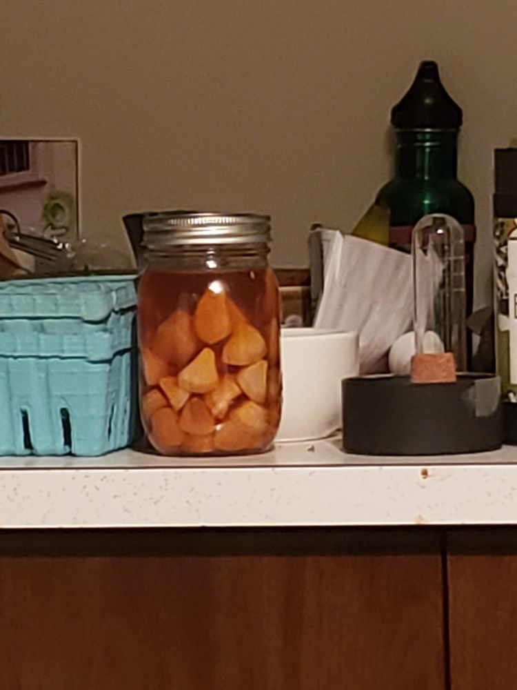 A jar of fermented garlic honey, well-cured, with the cloves in a pattern as described in the post. Lots of other rando counter shit too. 