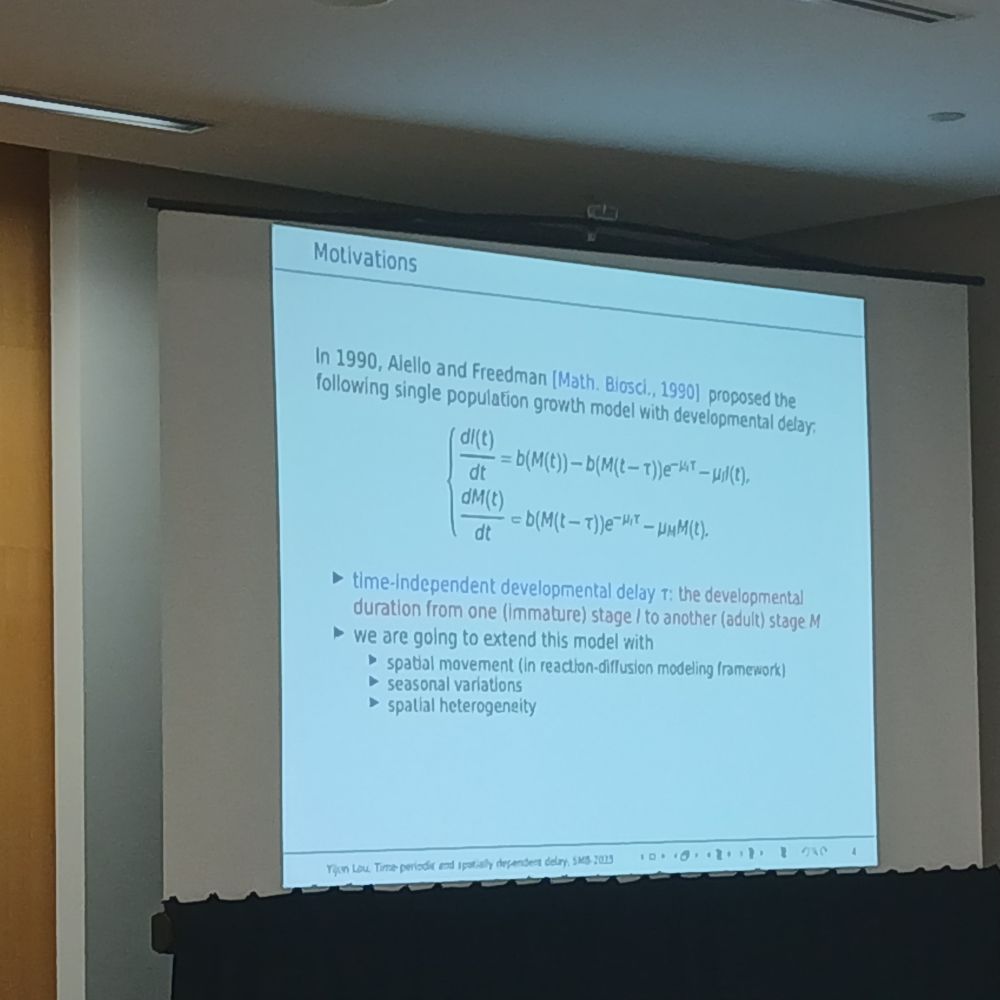 A slude from Yijun Luo's talk presenting motivation for tje talk by introducing a system of delay differential equations fir the groeth of a two-stage population.