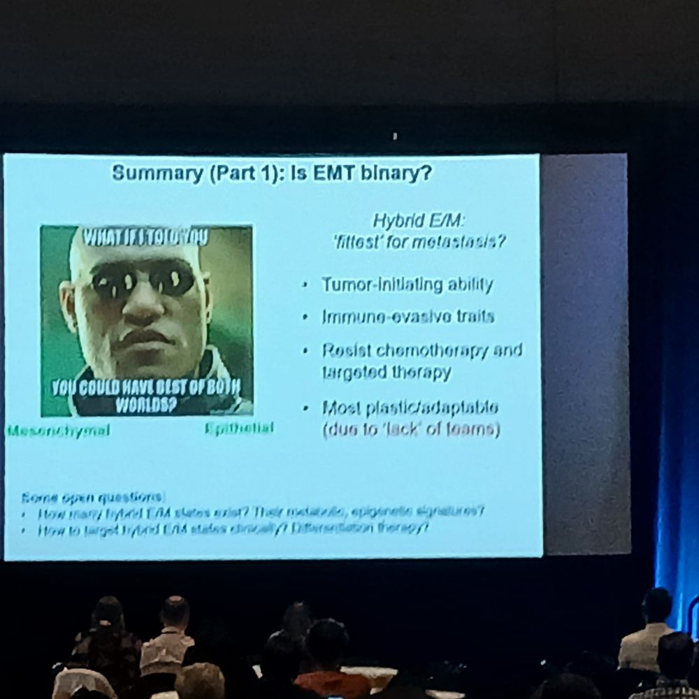 Slide from Mohit Kumar Jolly's plenary lecture askinv the question if the epithelial-to-mesenchymal transition is binary, featuring an image of the "what if I told you" meme from The Matrix.