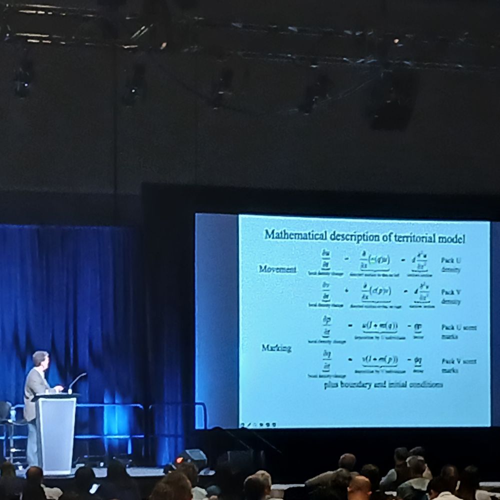 Photo of Mark Lewis on stage and a slide with a coupled PDE model for interaction between two species with directed motion.