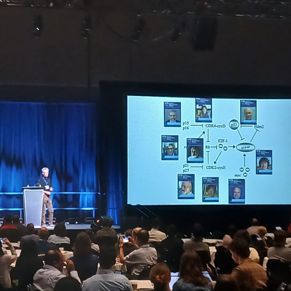 Photo of Fred Adler presenting slides showing a gene regulatory network and an SMB baseball card corresponding to each gene.