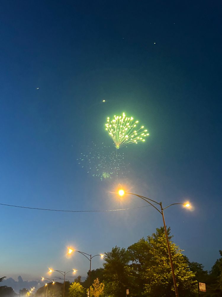 A bright green firework in a dark blue evening sky, over a line of yellow streetlights.