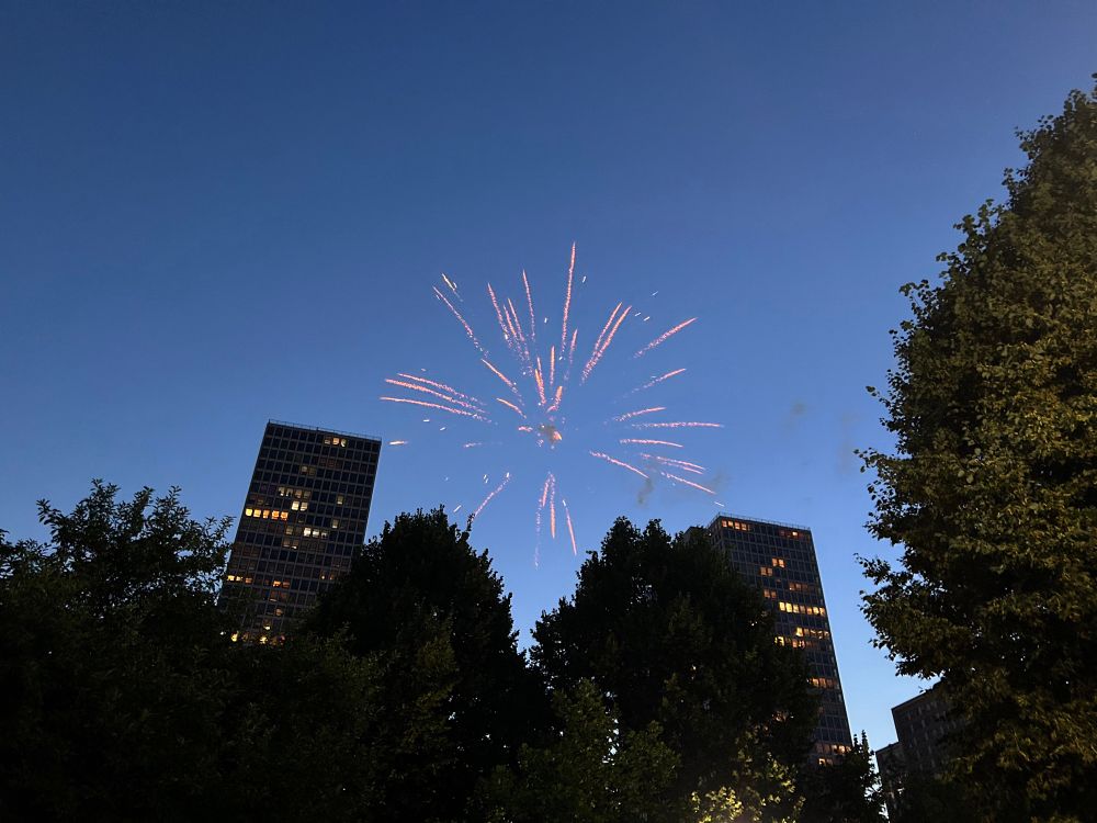 An orange firework in a blue evening sky, over dark green treetops and buildings in the background.