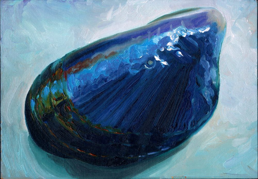 Oil painitng of a colourful mussel shell