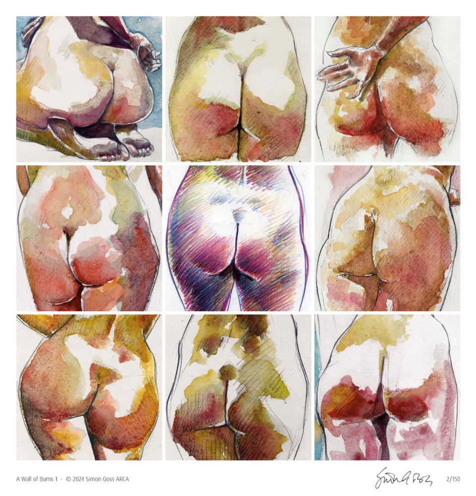 A photo montage of nine watercolour paintings of bums