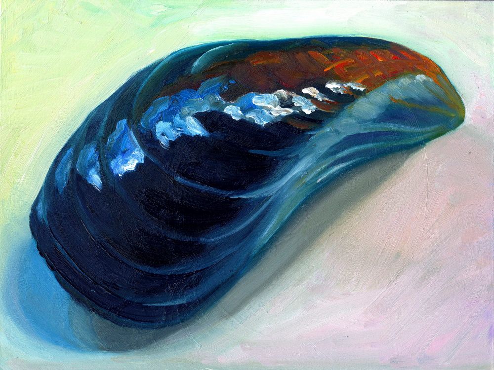 A colourful oil painting of a mussel shell in closeup.