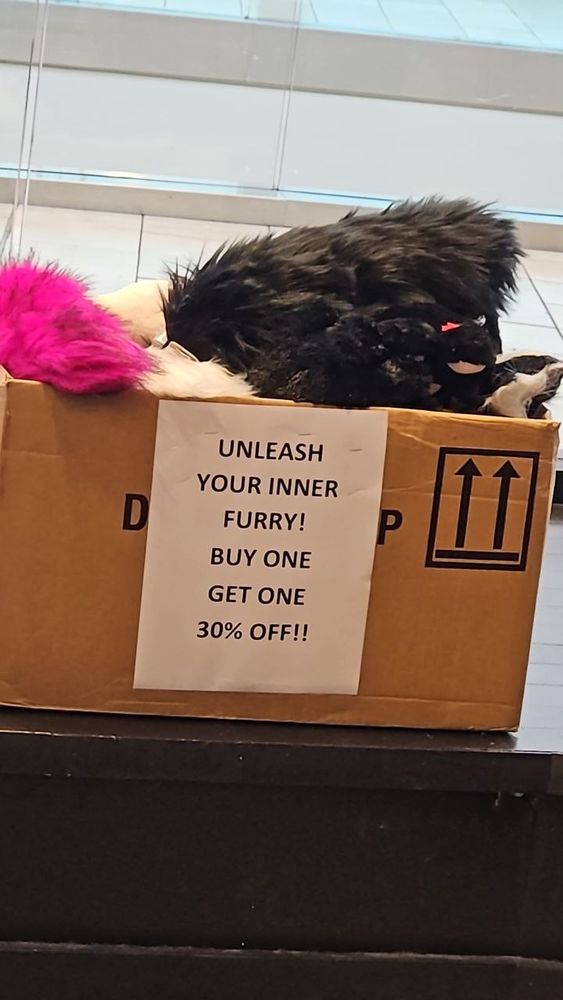 A box with paws and tails. Unleash your inner Furry. Buy one, get one 30% off.