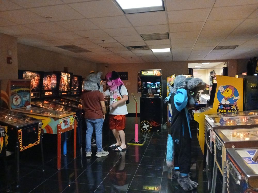 The pinball section of the arcade. 