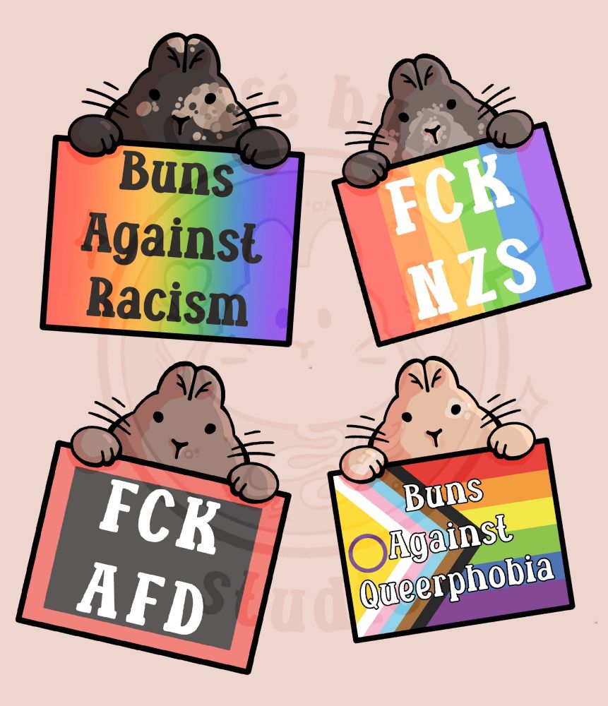 Drawing of 4 bunnies each holding a sign. One says "Buns against racism" with a rainbow background, one says "FCK NZS" with a rainbow background, a third "Buns against queerphobia" with the progress pride flag as a background and one says "FCK AFD" with a grey and Red background
