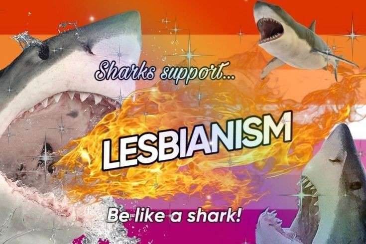 A background of the lesbian flag with three sharks and flames
Text reads: sharks support lesbianism
Be like a shark!