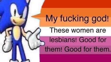 Sonic the hedgehog with a lesbian flag 
Text reads: my fucking god! These women are lesbians! Good for them! Good for them.