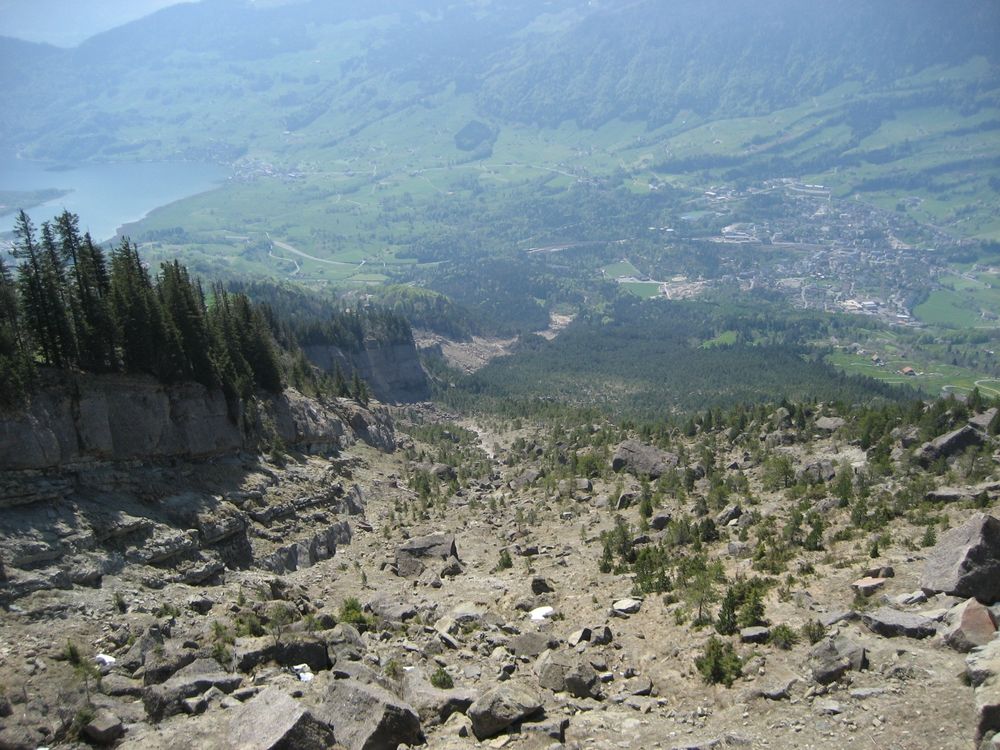 Goldau seen from the mountain that collapsed.